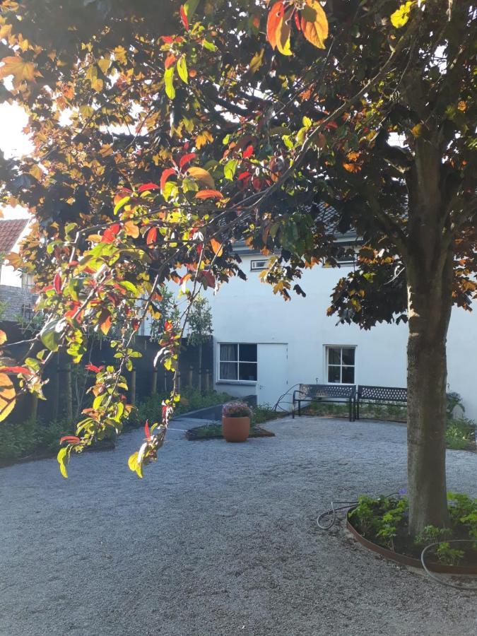 Boetiek Hotel Azul Goedereede Eksteriør billede